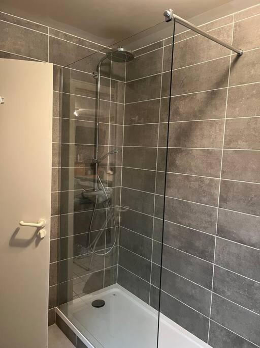 Le Clos Du Chateau Rouge 3* Avec Parking Securise Annemasse Eksteriør billede